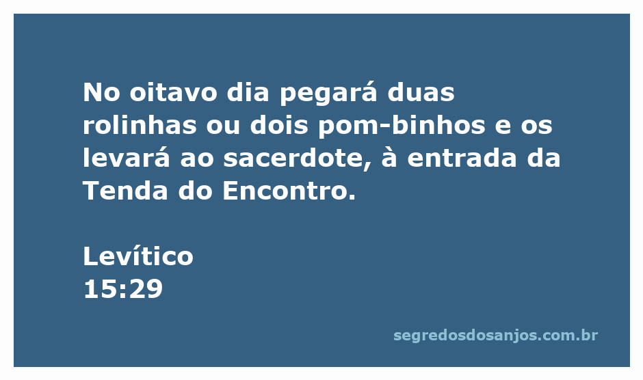 Imagem de duas rolinhas e dois pombinhos, representando a oferenda descrita em Levítico 15:29.