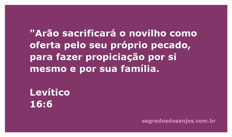 Arão realizando o sacrifício do novilho para expiação do pecado, conforme Levítico 16:6.