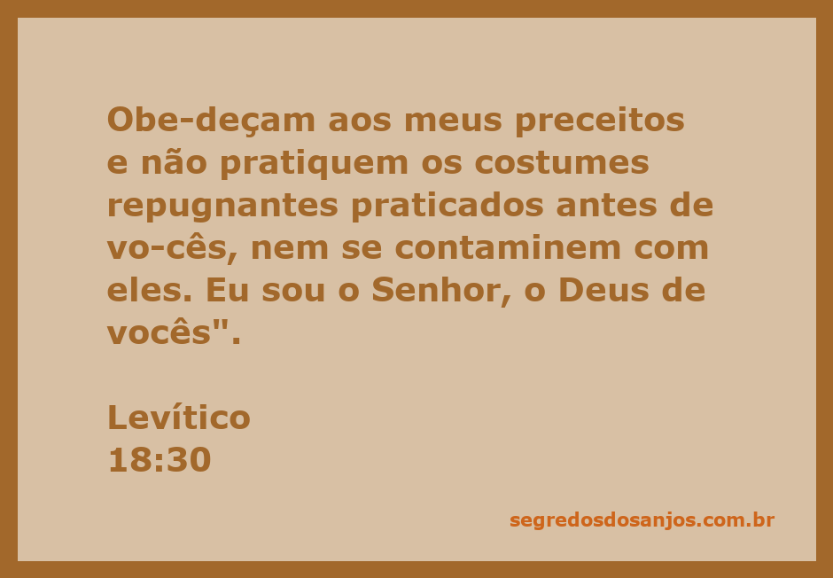 Versículo bíblico de Levítico 18:30 destacando a obediência a Deus e a rejeição de costumes repugnantes.
