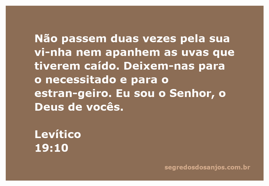 Imagem representativa da passagem Levítico 19:10, que enfatiza a importância de deixar uvas para os necessitados e estrangeiros.