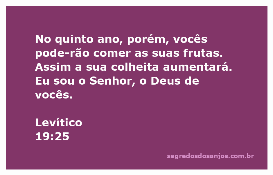 Frutas colhidas no quinto ano, representando a bênção de Deus para a colheita.