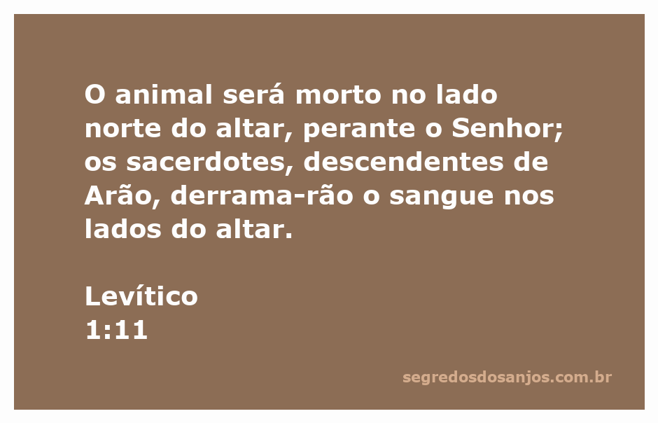 Sacerdote derramando o sangue de um animal no altar, representando a prática de sacrifício conforme Levítico 1:11.
