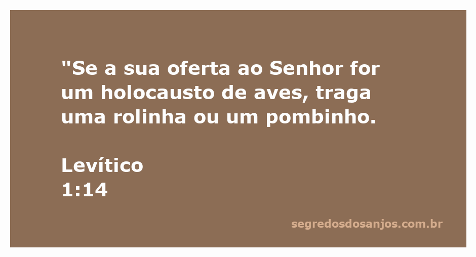 Uma rolinha e um pombinho, representando a oferta de aves no holocausto conforme Levítico 1:14.