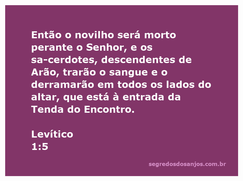 Sacerdotes da linhagem de Arão derramando o sangue de um novilho diante do altar na Tenda do Encontro, conforme Levítico 1:5.