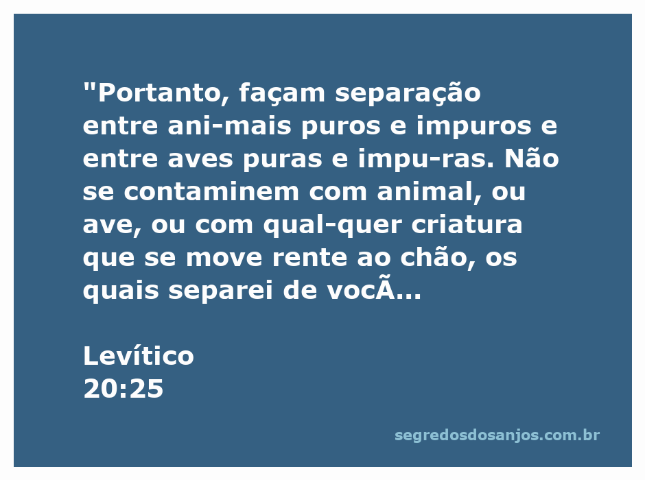 Ilustração de animais puros e impuros com base na passagem bíblica de Levítico 20:25.