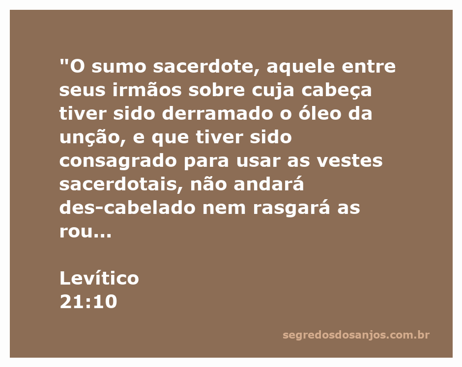 Imagem do sumo sacerdote com vestes sacerdotais, simbolizando consagração e dignidade.