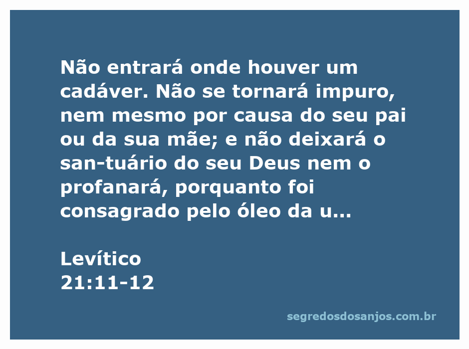Imagem de um sacerdote israelita em frente ao templo, refletindo o respeito às leis de pureza e santidade conforme Levítico 21:11-12.