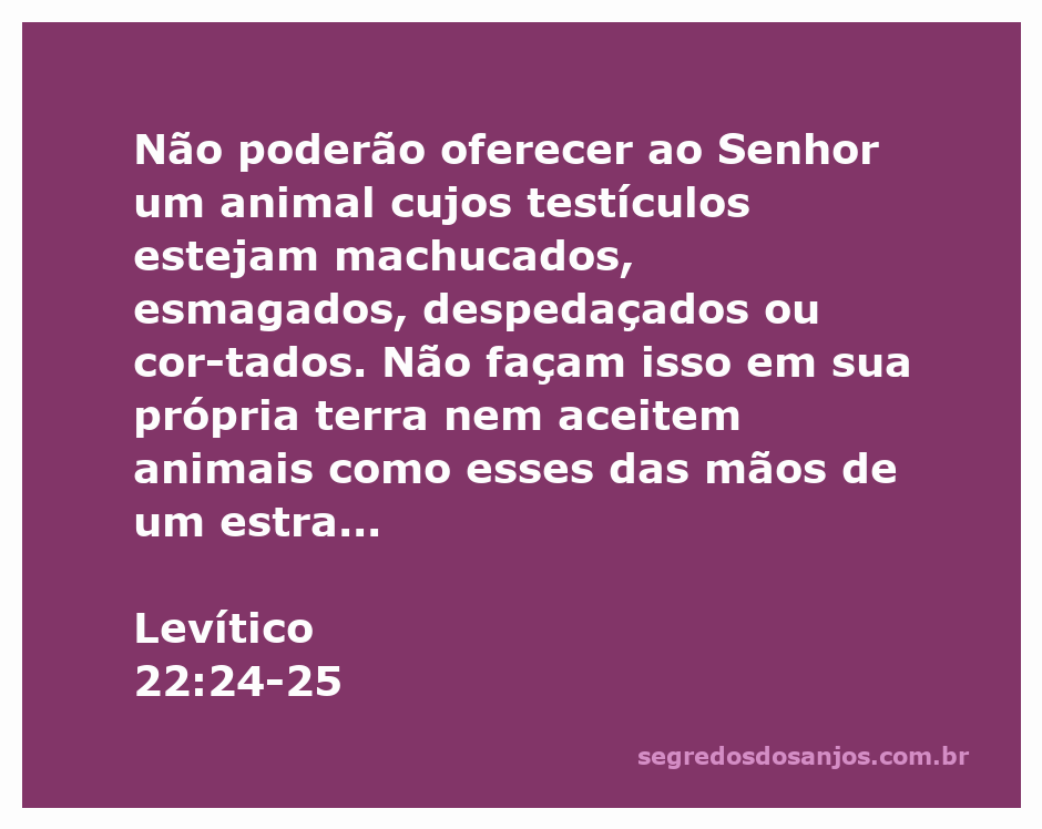 Imagem de um sacrifício animal no contexto bíblico, representando a pureza e as exigências nas ofertas ao Senhor.