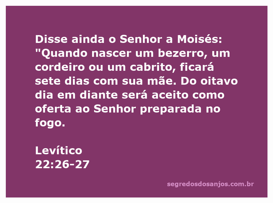 Imagem de um bezerro, cordeiro e cabrito com sua mãe, simbolizando a passagem de Levítico 22:26-27 sobre os animais e suas ofertas.