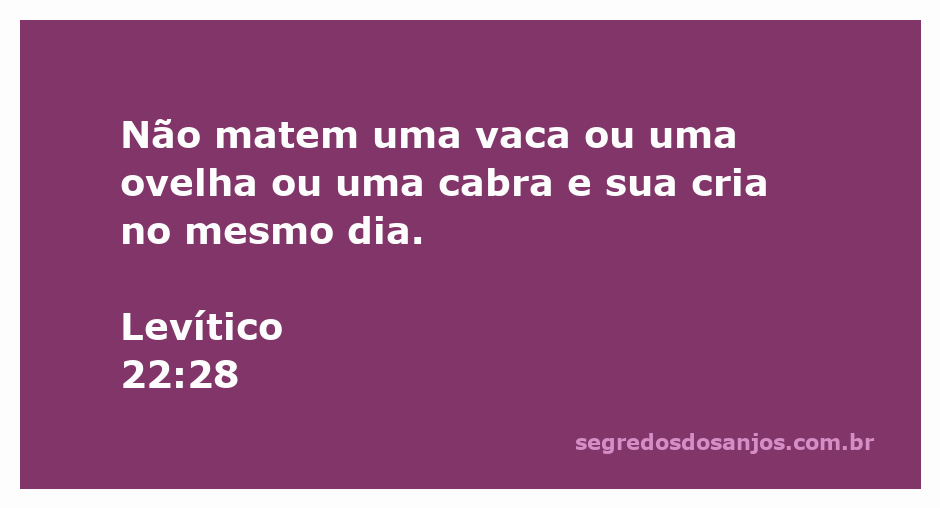 Imagem ilustrativa de uma vaca, ovelha e cabra pastando em um campo, simbolizando a proibição de sacrificar animais e suas crias no mesmo dia.