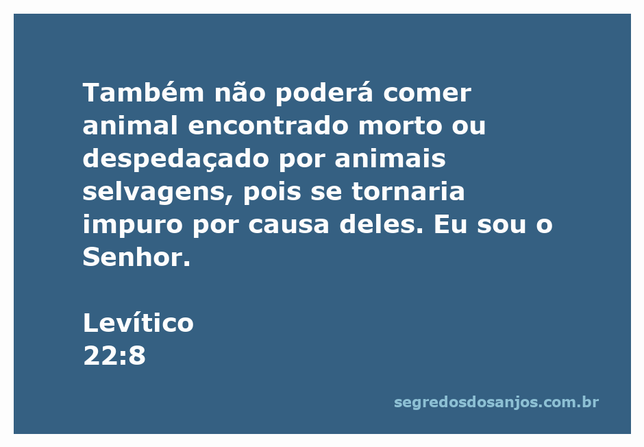 Imagem de um animal encontrado morto, simbolizando a impureza mencionada em Levítico 22:8.