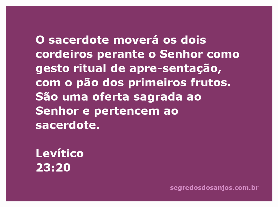 Sacerdote apresentando dois cordeiros e pão dos primeiros frutos como oferta ao Senhor