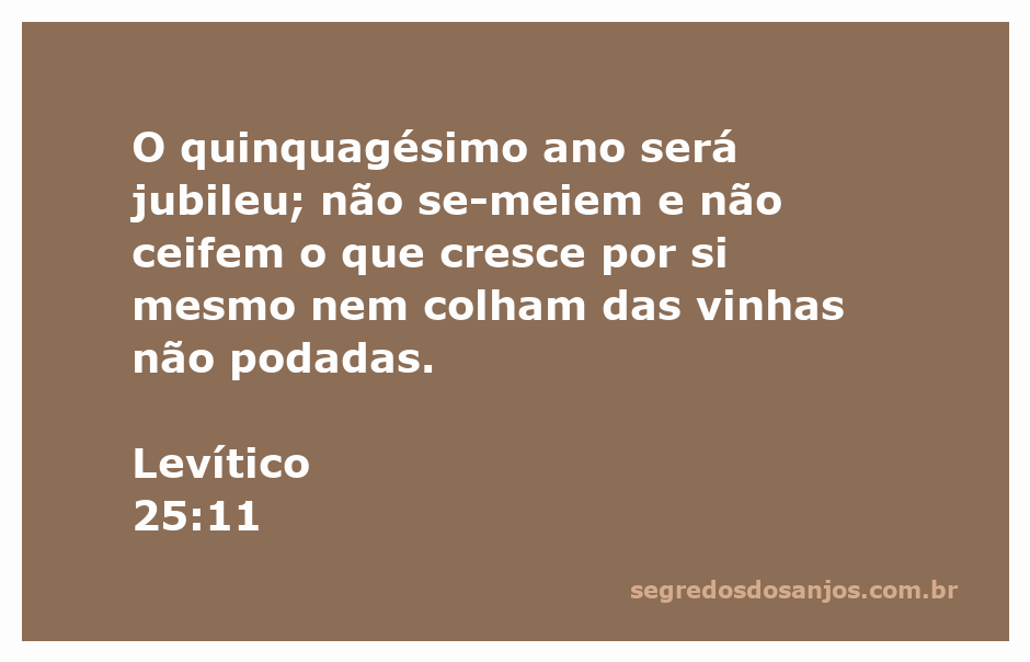 Imagem representativa do Jubileu conforme descrito em Levítico 25:11, destacando a ideia de descanso da terra.