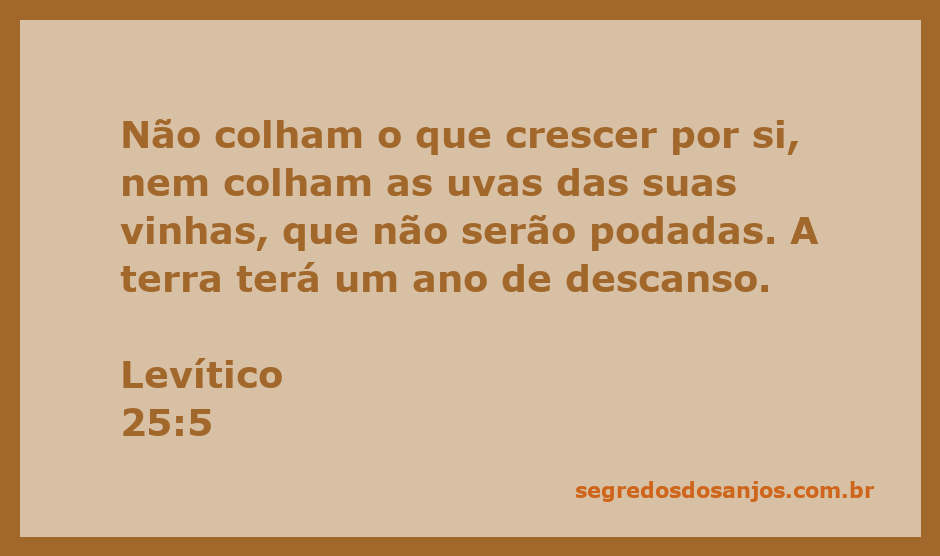 Imagem representativa do conceito de descanso da terra conforme Levítico 25:5.