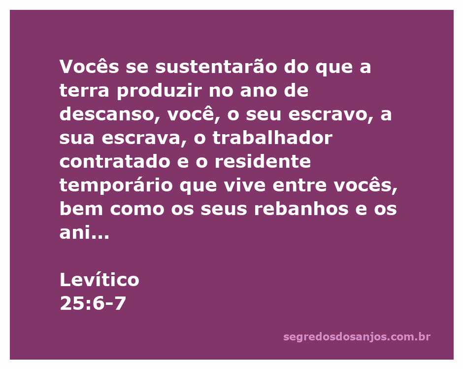 Imagem de um campo fértil representando o ano de descanso e a colheita abundante descrita em Levítico 25:6-7.