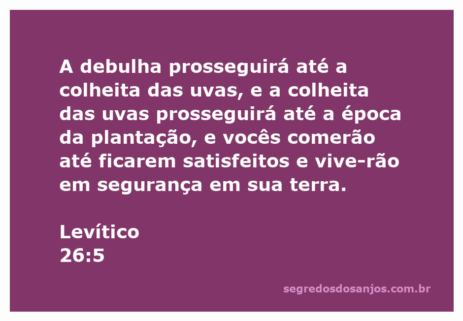 Imagem representativa da colheita abundante e da segurança na terra prometida, inspirada no versículo Levítico 26:5.