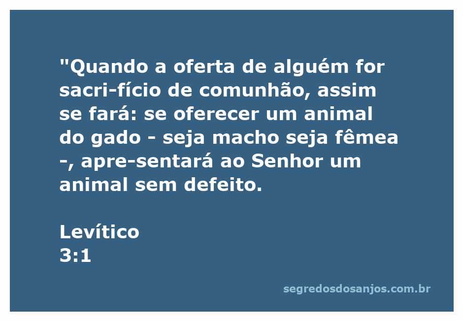 Ilustração de um sacrifício de comunhão com um animal do gado sem defeito, conforme descrito em Levítico 3:1.