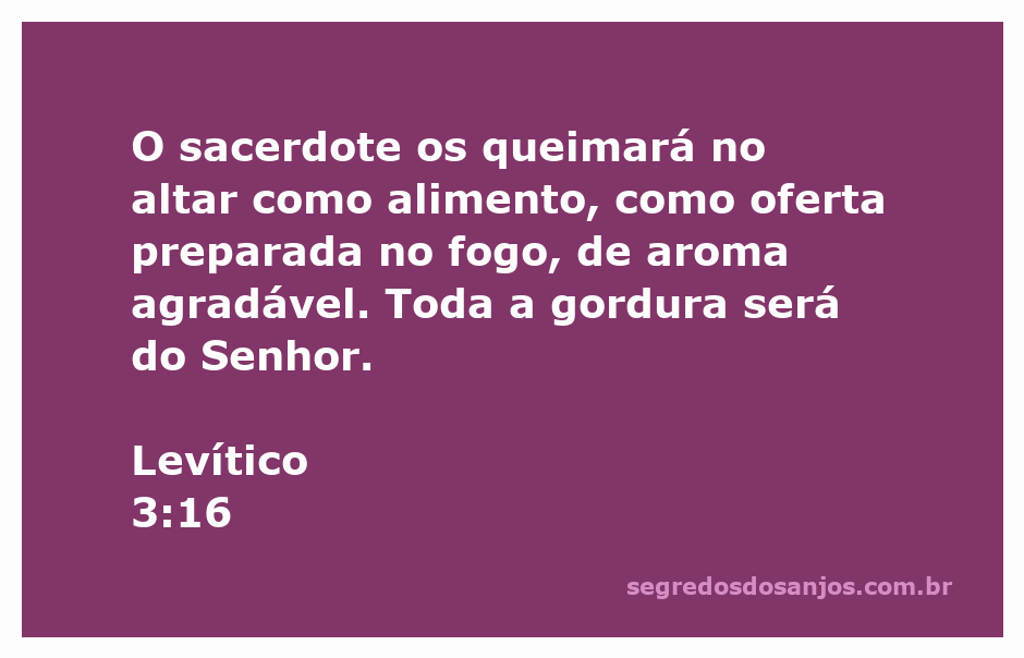 Sacerdote queimando gordura no altar como oferta ao Senhor, simbolizando a devoção e sacrifício.
