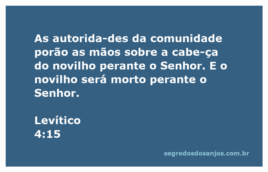 Autoridades da comunidade colocando as mãos sobre a cabeça de um novilho como parte do ritual de sacrifício descrito em Levítico 4:15.