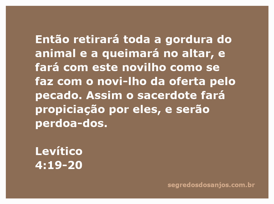 Sacrifício de um novilho conforme Levítico 4:19-20, simbolizando a propiciação e perdão dos pecados.