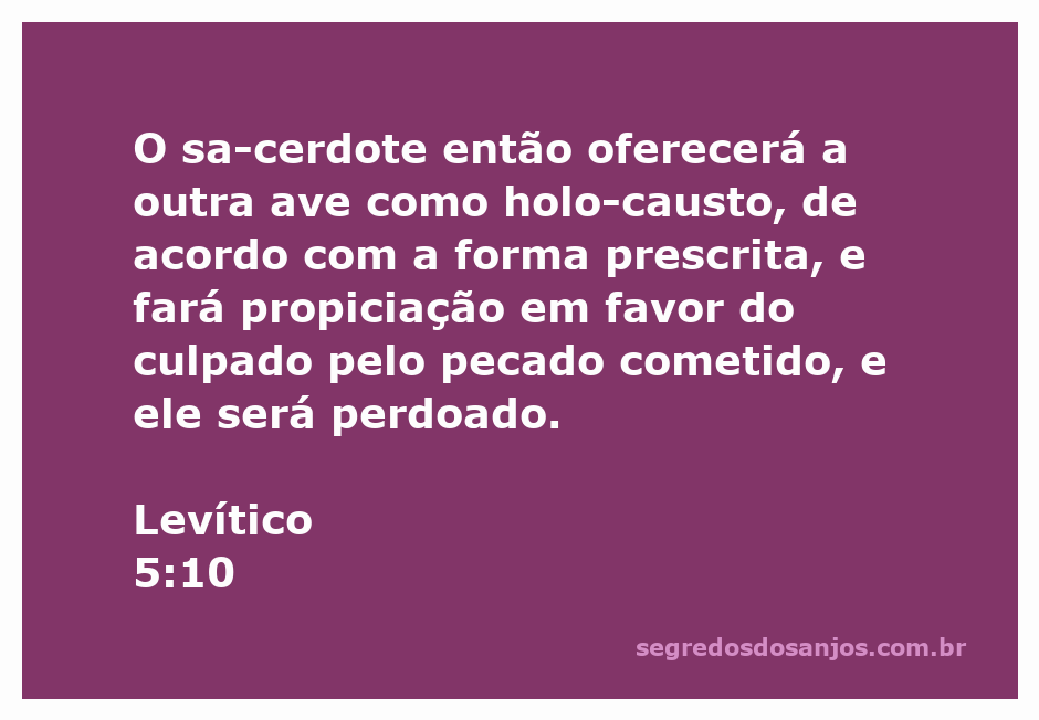 Imagem representativa do sacrifício de uma ave, simbolizando a oferta pelo pecado conforme descrito em Levítico 5:10.
