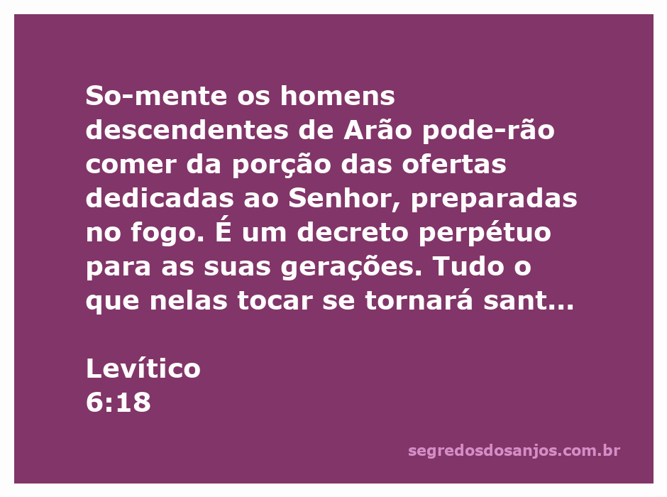 Imagem representativa da oferta dedicada ao Senhor, com descendentes de Arão em um altar.