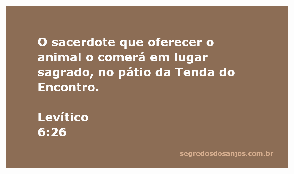 Sacerdote comendo o animal sacrificado no pátio da Tenda do Encontro, simbolizando a santidade do ritual.