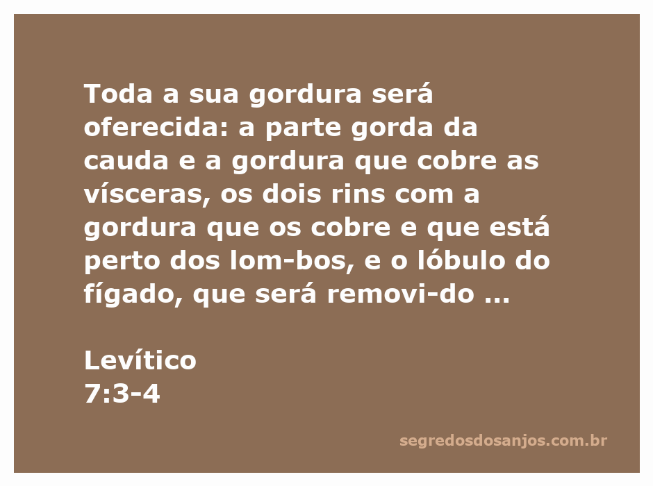 Ilustração da oferta de gordura conforme Levítico 7:3-4, mostrando a parte gorda da cauda, vísceras e rins.