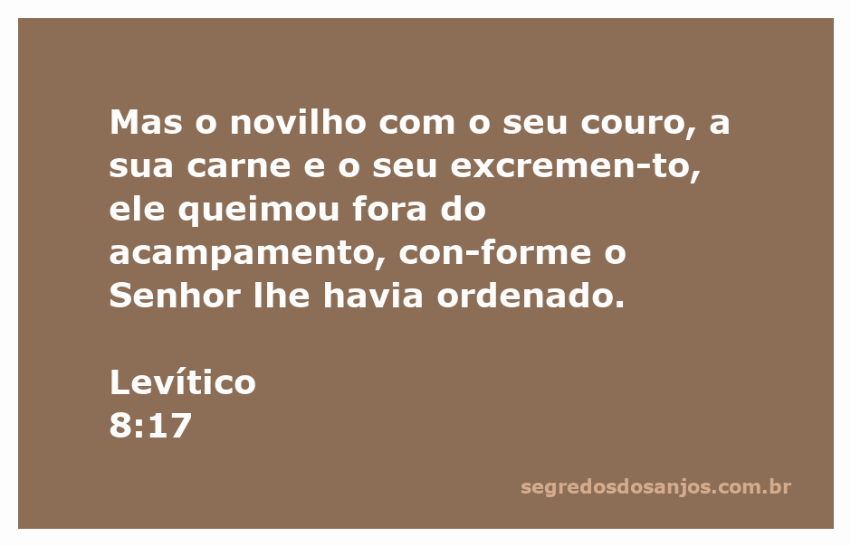 Sacerdote queimando um novilho fora do acampamento, conforme a ordem divina.