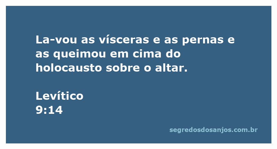 Sacerdote queimando vísceras e pernas em holocausto no altar, conforme Levítico 9:14.