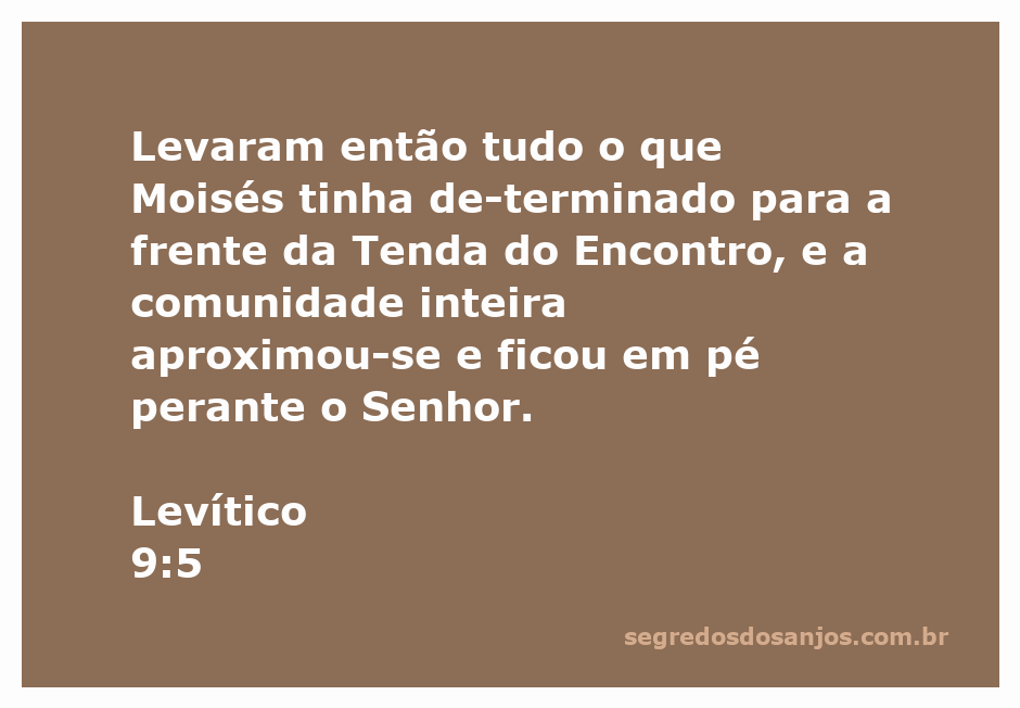 Comunidade reunida diante da Tenda do Encontro conforme o mandamento de Moisés em Levítico 9:5.