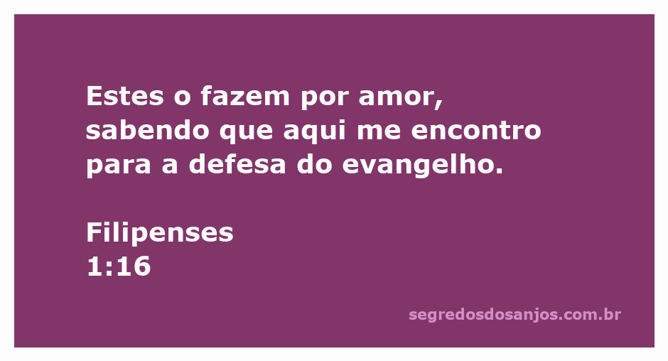 Imagem representando Filipenses 1:16 com a mensagem de amor e defesa do evangelho.