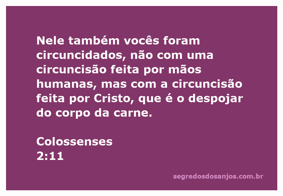 Imagem ilustrativa representando a circuncisão espiritual mencionada em Colossenses 2:11, simbolizando a transformação em Cristo.