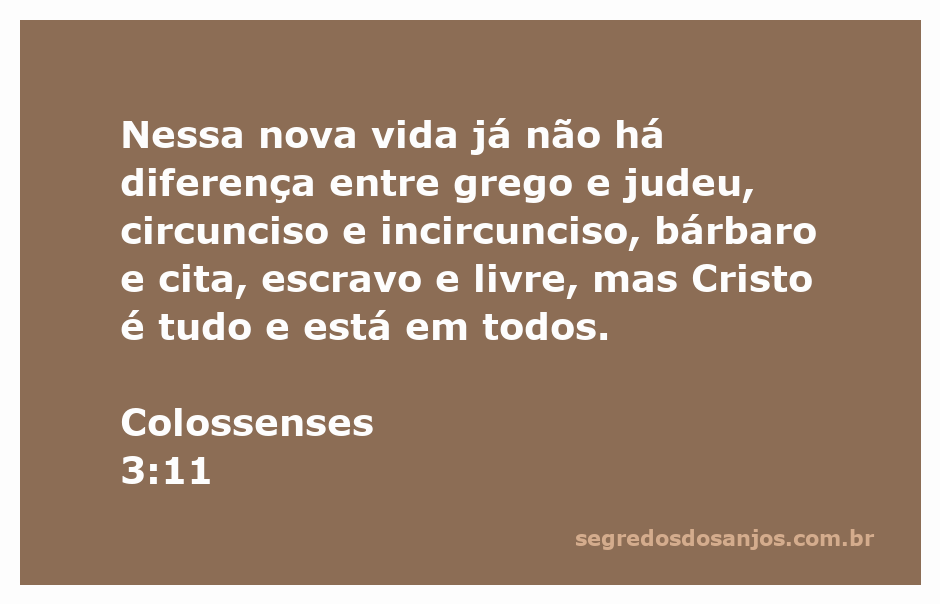 Imagem representativa da unidade em Cristo, simbolizando a igualdade entre diferentes povos e status sociais conforme Colossenses 3:11.
