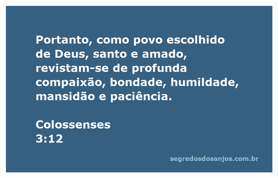 Imagem representativa do versículo Colossenses 3:12, destacando valores cristãos como compaixão, bondade, humildade, mansidão e paciência.