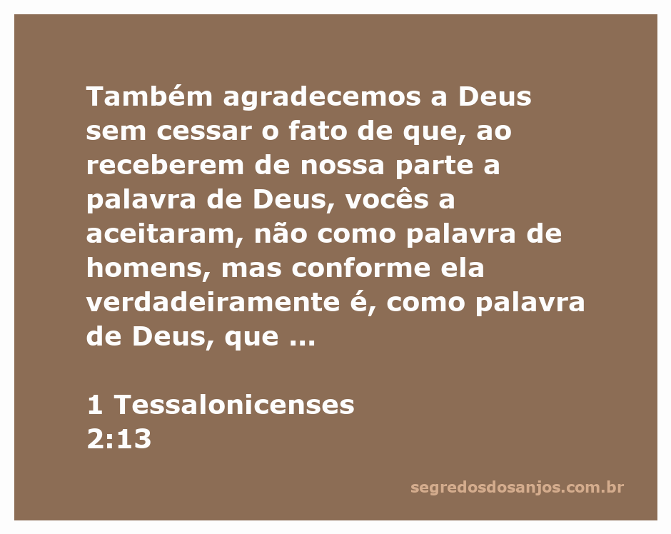 Imagem inspiradora representando a aceitação da Palavra de Deus pelos fiéis, com uma Bíblia aberta e luz divina iluminando suas páginas.