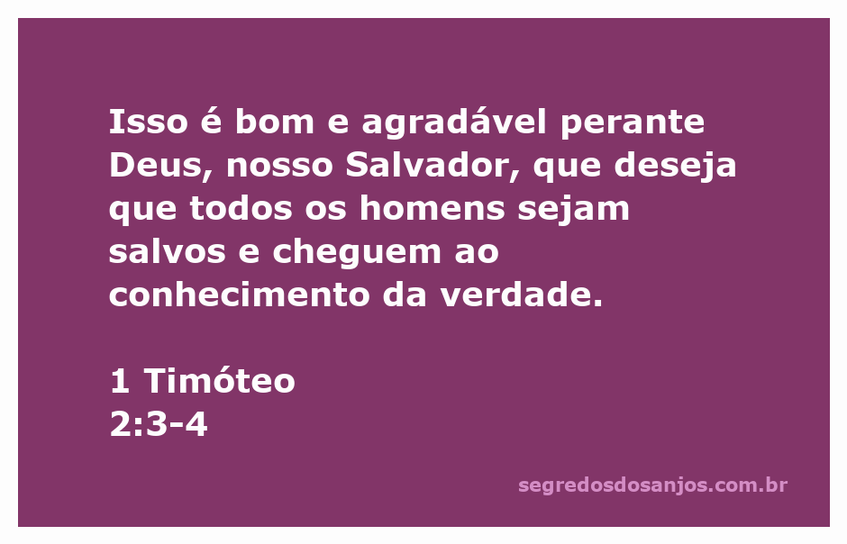 Versículo de 1 Timóteo 2:3-4 destacando o desejo de Deus pela salvação de todos os homens.