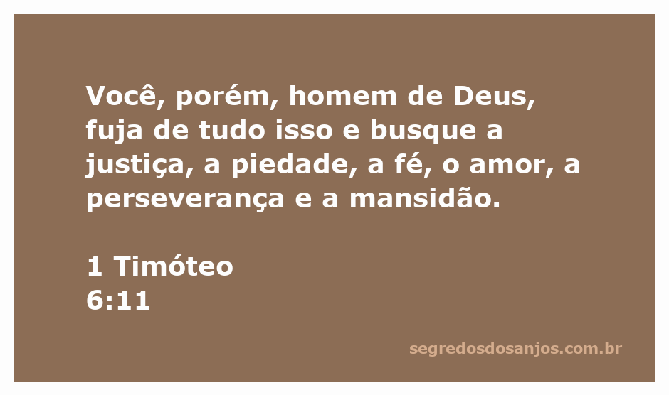 Um homem de Deus buscando justiça e virtudes bíblicas como fé, amor e mansidão.