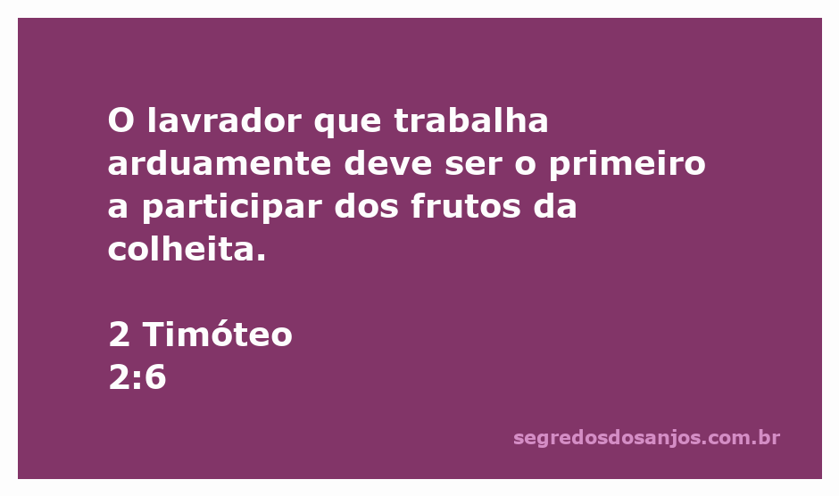 Um lavrador colhendo frutos de um campo, simbolizando o trabalho árduo e a recompensa na fé.