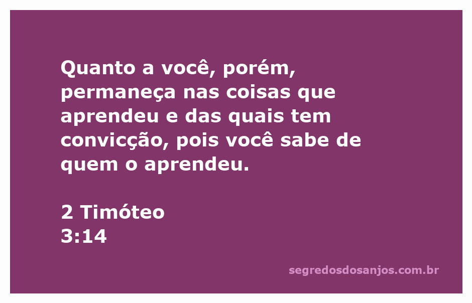 Versículo de 2 Timóteo 3:14 sobre a importância de permanecer firme no que se aprendeu.