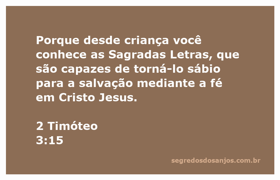 Imagem de um jovem lendo a Bíblia, simbolizando o conhecimento das Sagradas Letras desde a infância.