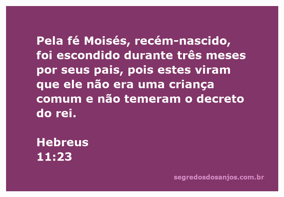 Imagem de Moisés sendo escondido por seus pais, simbolizando proteção e fé.