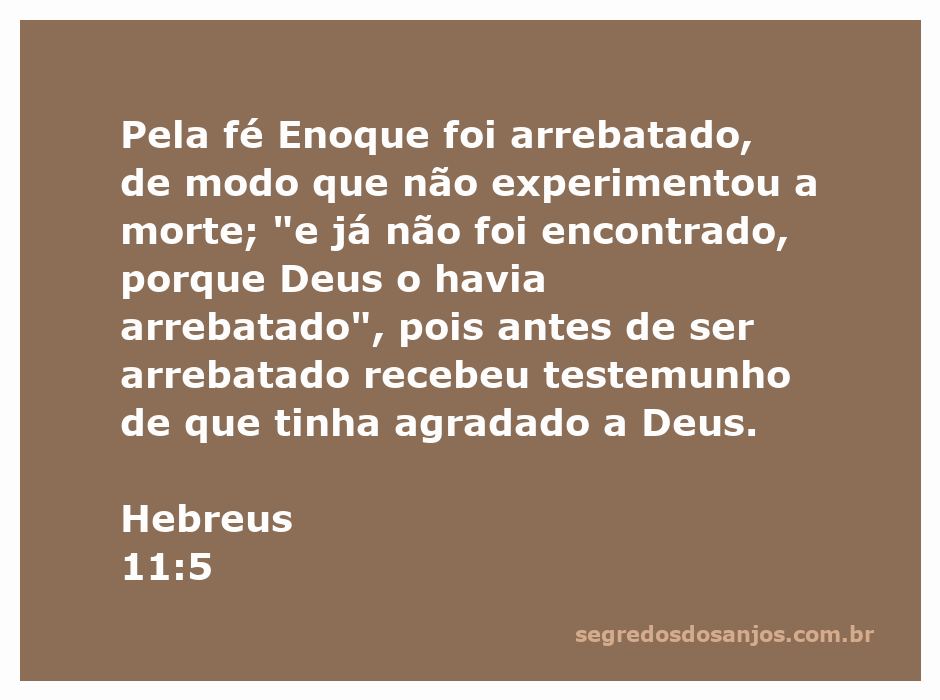 Imagem representativa de Enoque sendo arrebatado ao céu, simbolizando a fé e a recompensa divina.