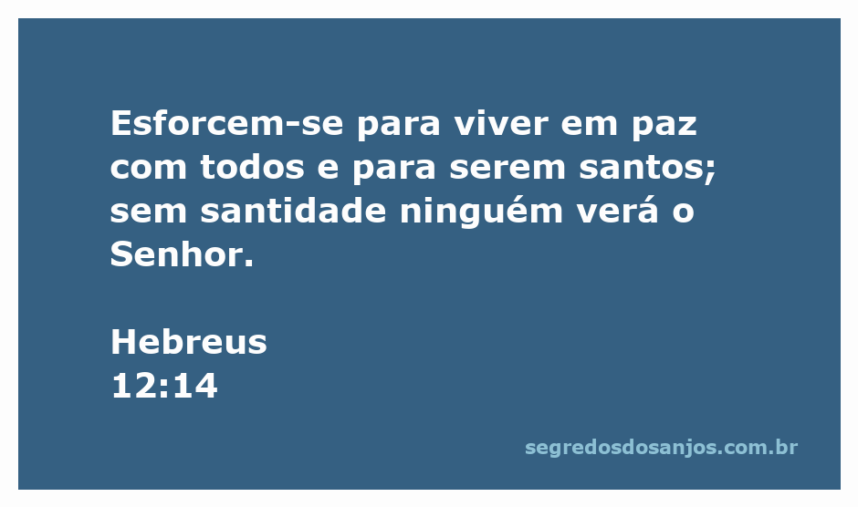 Versículo de Hebreus 12:14 que fala sobre viver em paz e santidade