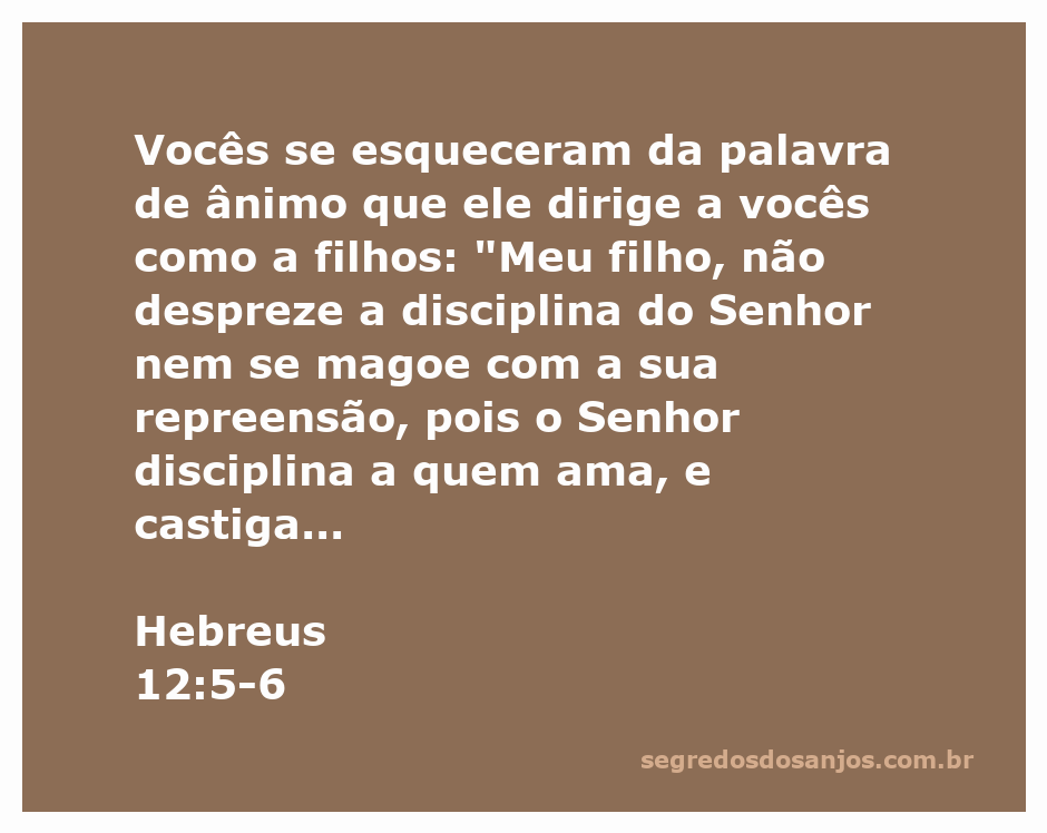 Imagem representativa da disciplina e amor de Deus, ilustrando Hebreus 12:5-6.