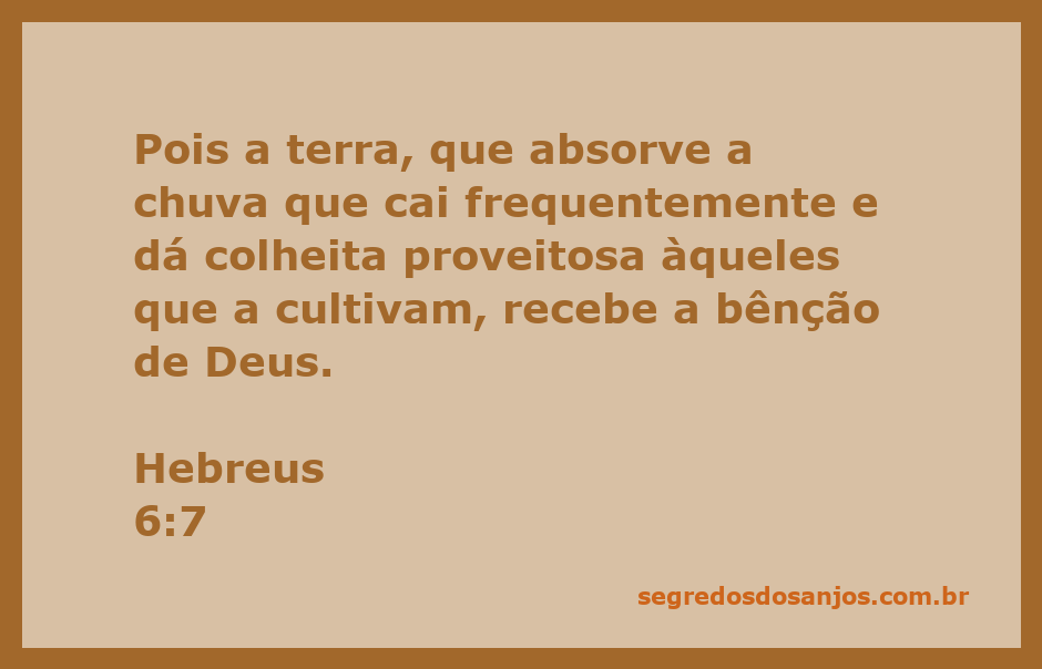 Imagem representativa da colheita abundante simbolizando a bênção de Deus conforme Hebreus 6:7.