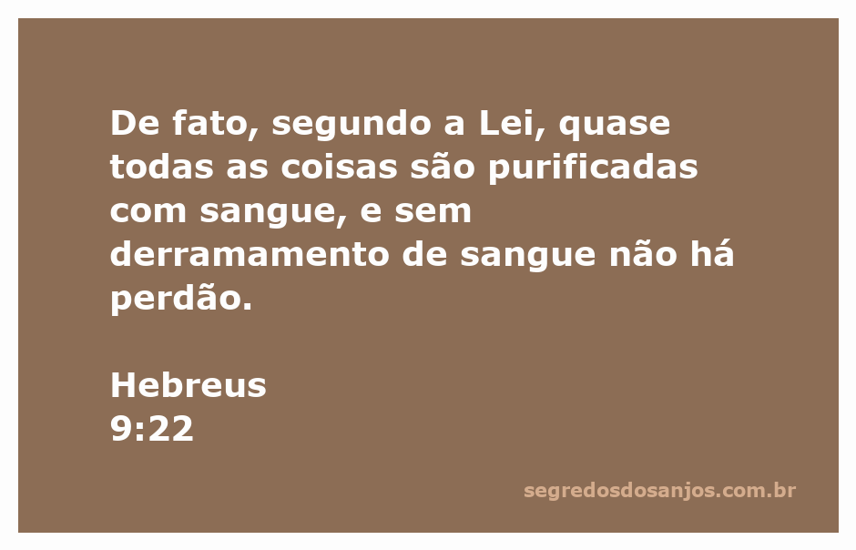 Ilustração do versículo Hebreus 9:22, destacando a importância do sangue para a purificação e perdão segundo a Lei.