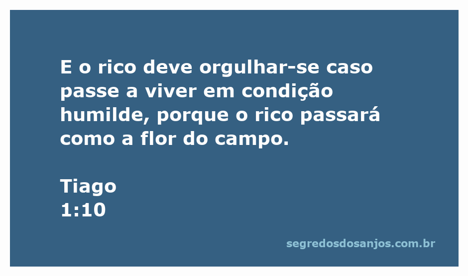 Ilustração de Tiago 1:10, destacando a transitoriedade da riqueza, com uma flor do campo em destaque.