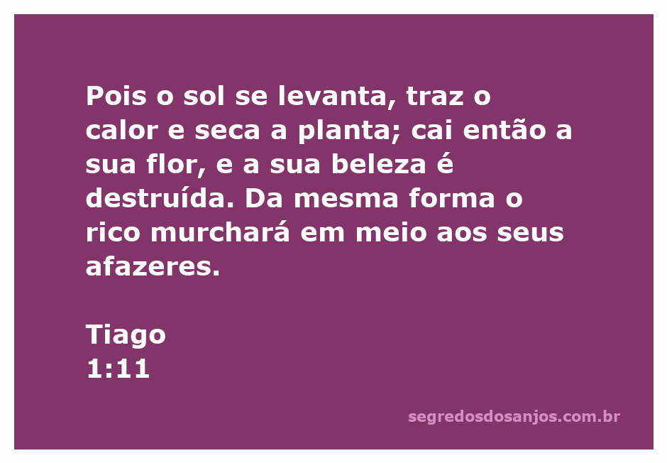 Imagem simbólica representando a efemeridade da riqueza, com uma planta murchando sob o sol ardente.