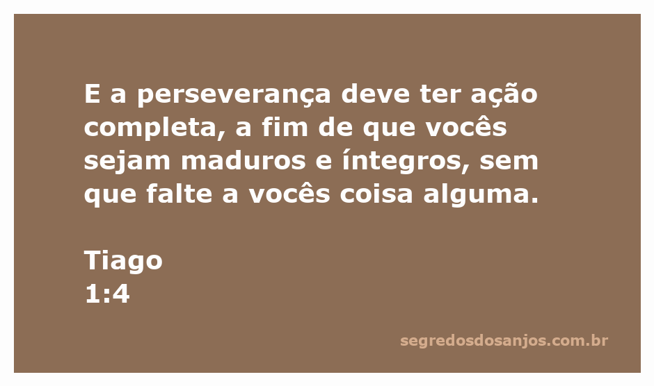 Imagem ilustrativa do versículo Tiago 1:4, destacando a importância da perseverança na maturidade espiritual.